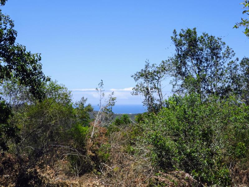 0 Bedroom Property for Sale in Hoekwil Western Cape